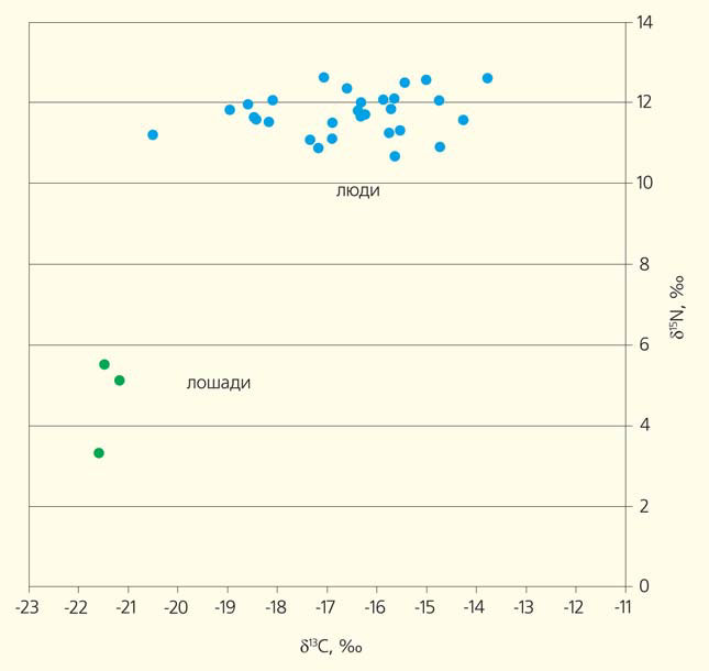 Значения δ15N и δ13С, определенные для образцов коллагена людей и лошадей (IV в. до н. э.), курганные погребения скифской культуры на Среднем Дону («Природа» №1, 2019)