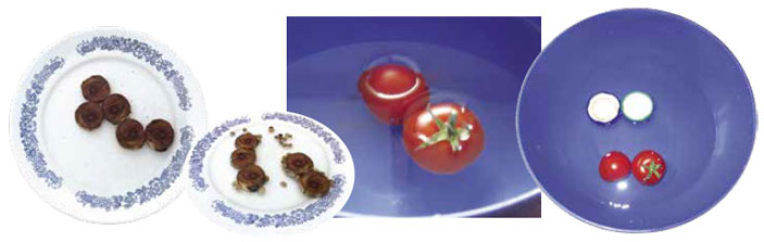 Семена и помидоры, плавающие в тарелке с водой («Квантик» №8, 2018)