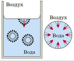 Поверхность воды в стеклянном стакане («Квантик» №8, 2018)