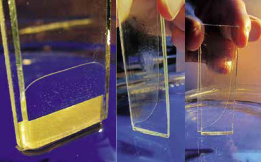 Два плоских стеклышка, склеивающихся при погружении в воду («Квантик» №8, 2018)