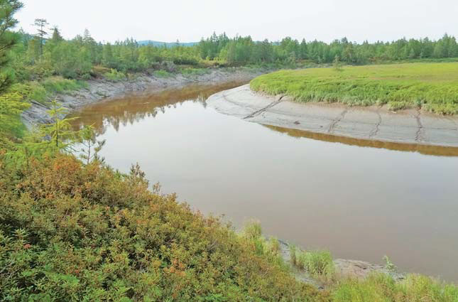 Русло р. Сыран в низовьях («Природа» №8, 2017)