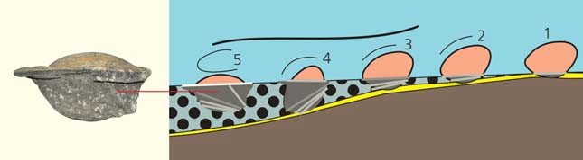 Рис. 3. Прерывистое перемещение валуна в зоне марганценакопления («Природа» №10, 2017)
