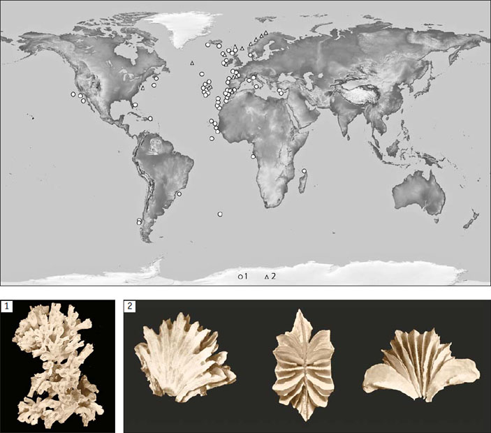 Рис. 3. Карта распространения арктических склерактиний («Природа» №2, 2018)