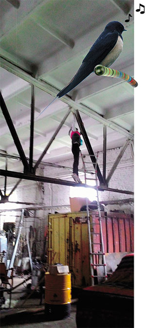 Орнитолог на ферме крыши («Наука из первых рук» №3(83), 2019)