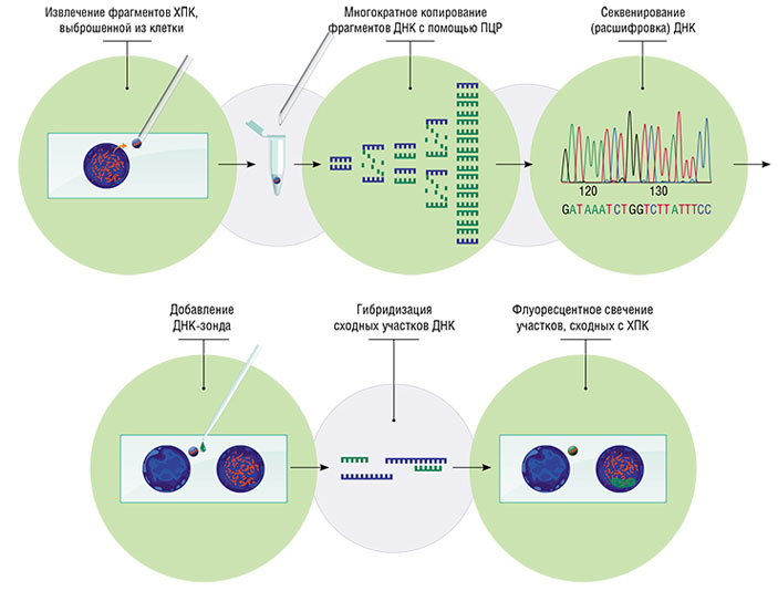 Сбор материала ХПК («Наука из первых рук» №3(83), 2019)