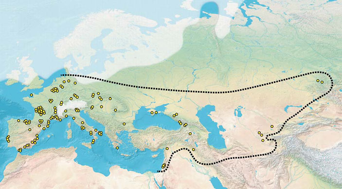 Ареал распространения важнейших памятников неандертальцев в Западной Евразии («Природа» №3, 2018)