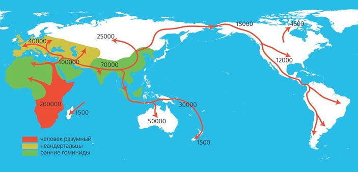 Схема предполагаемых путей и времени расселения различных видов по земному шару («Природа» №3, 2018)