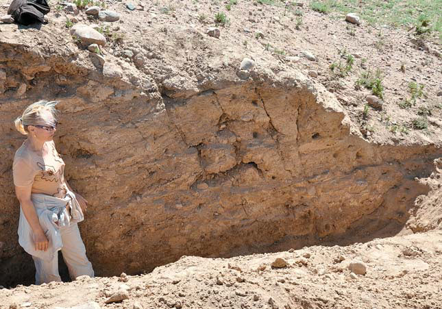 Разрез траншеи, пройденной через восточную стену Тоссорской средневековой крепости («Природа» №3, 2018)