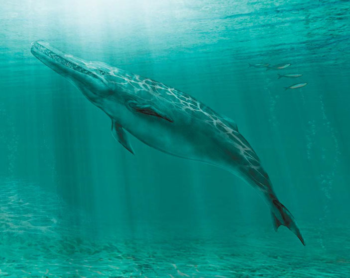 Реконструкция внешнего вида сквалодона («Природа» №5, 2018)