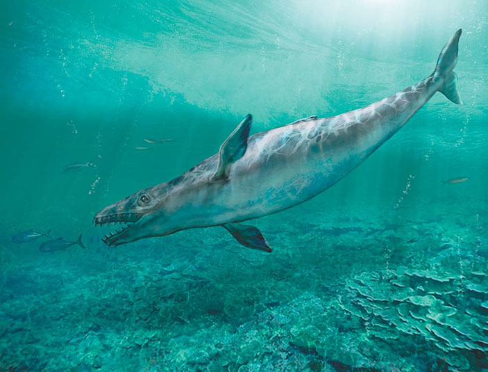 Реконструкция внешнего вида янджуцета («Природа» №5, 2018)