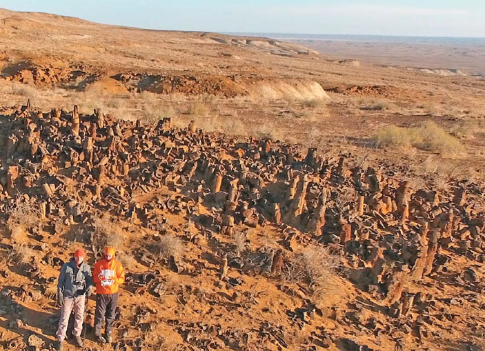 Выход шлакообразных горных пород с «каменными трубами» в урочище Джаракудук («Природа» №5, 2018)