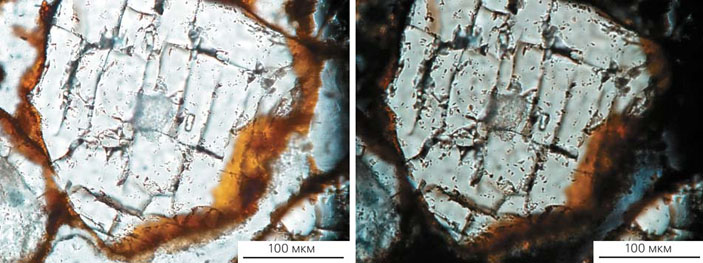 Зерна кварца с ориентированными трещинами («Природа» №5, 2018)