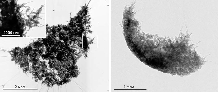 Микрофотографии спутанно-волокнистых агрегатов углеродных наноминералов («Природа» №5, 2018)