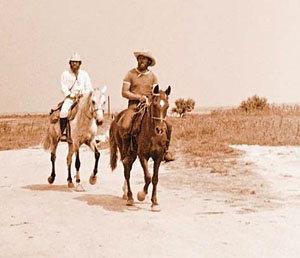 «Конный патруль» для наблюдения за дельфинами («Природа» №7, 2018)