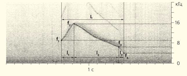 Пример типичного «свиста-автографа» («Природа» №7, 2018)