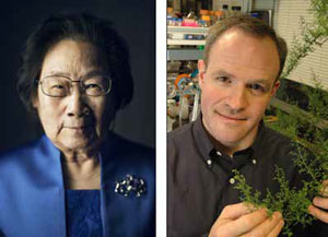 Юю Ту и Джей Кислинг («Химия и жизнь» №9, 2019)