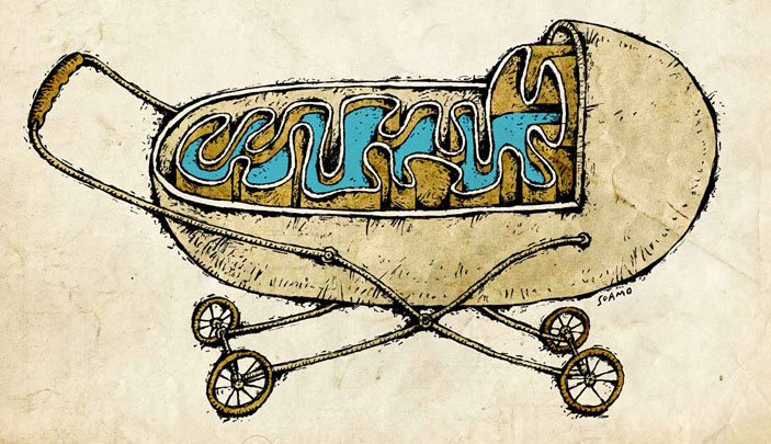 Рисунок В. Камаева («Химия и жизнь» №10, 2019)