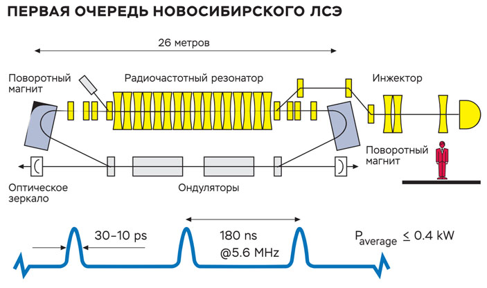 Первая очередь новосибирского ЛСЭ («Коммерсантъ Наука» №47, октябрь 2019)