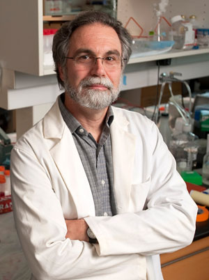 Грегг Семенза («Троицкий вариант» №22, 2019)