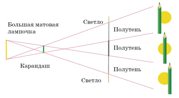 Тень от карандаша, освещенного большой матовой лампочкой («Квантик» №6, 2019)