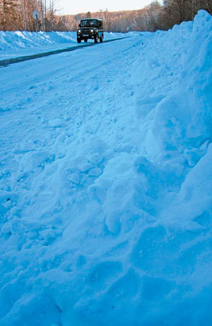 След тигра Устина на обочине дороги Бычиха («Природа» №11, 2018)