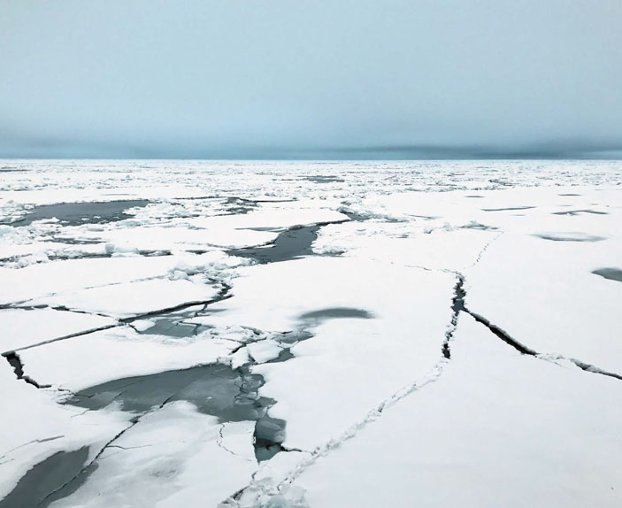 Арктика («Природа» №11, 2018)