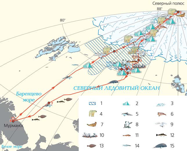 Маршрут атомохода «50 лет Победы» в августе 2017 г. («Природа» №11, 2018)