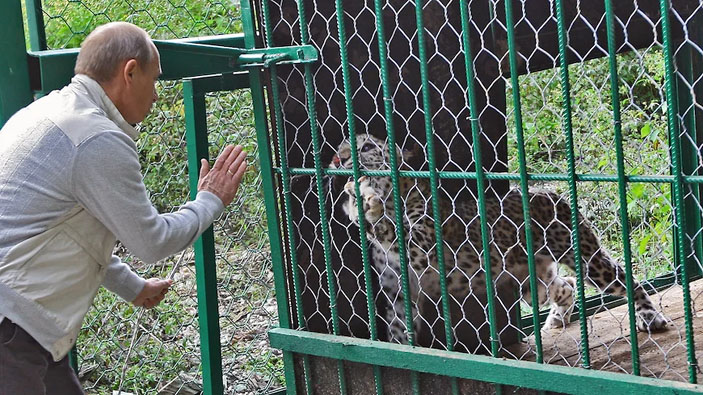 Путин с леопардом («Коммерсантъ Наука» №55, ноябрь 2019)