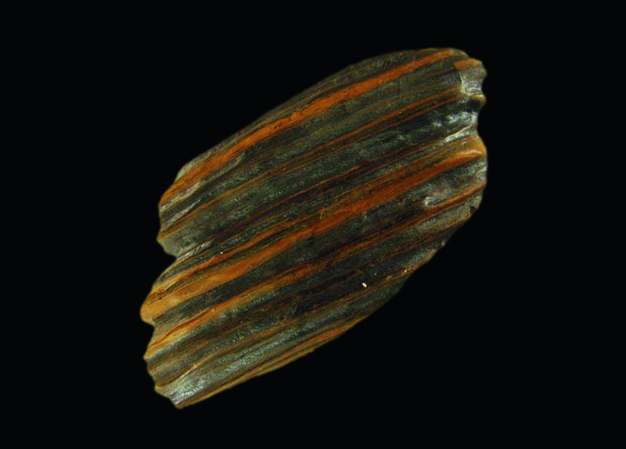 Яркая полосчатость железных руд отражает сезонное чередование темных кремниевых слоев и красных железистых («Популярная механика» №11, 2019)