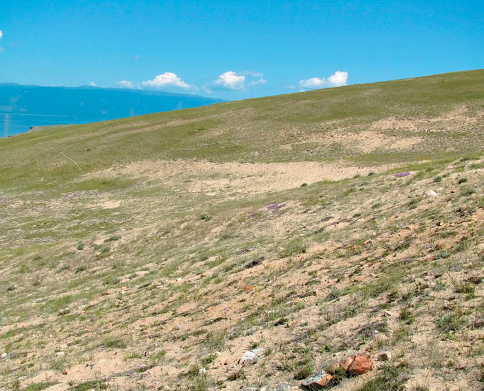 Степь на о. Ольхон («Природа» №12, 2018)