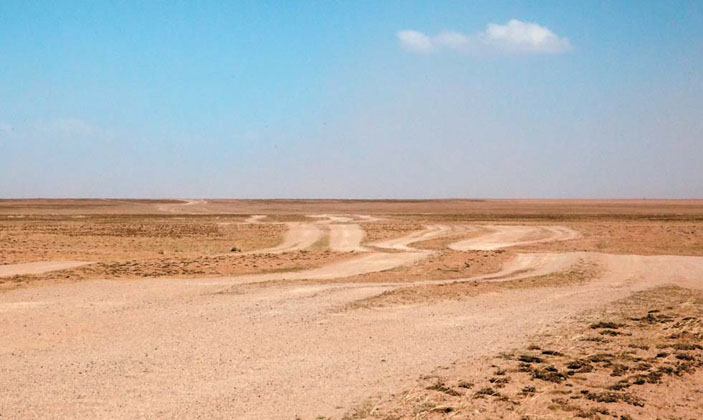 Монгольские дороги («Природа» №12, 2018)