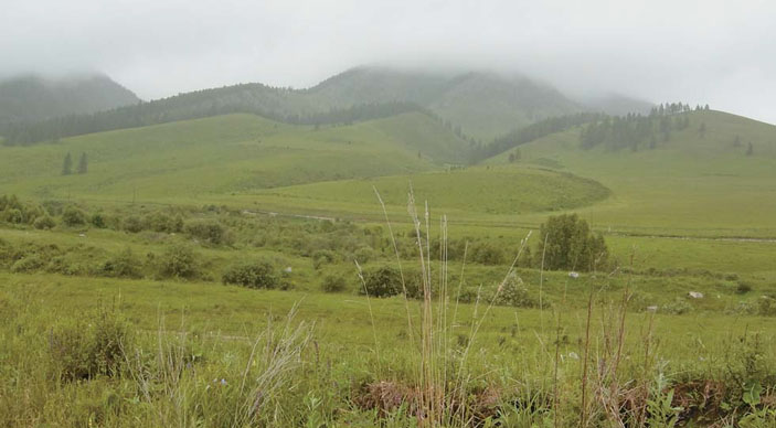 Ландшафт среднегорного Алтая («Природа» №1, 2019)