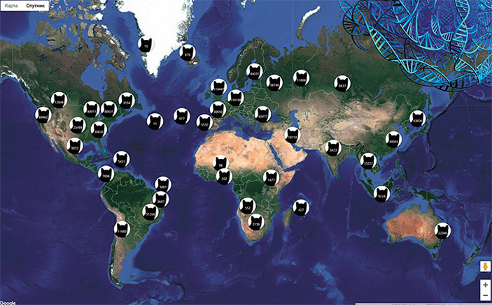 По численности запощенных в Сети кошек Россия занимает второе место в мире («Наука из первых рук» №4(84), 2019)