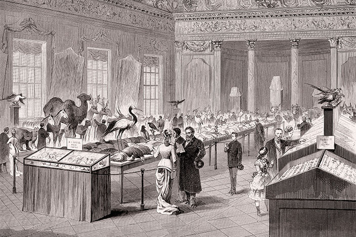 2 февраля 1887 г. в петербургской Академии наук открылась выставка зоологических коллекций Н. М. Пржевальского («Наука из первых рук» №4(84), 2019)