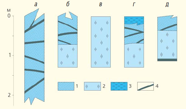 Основные типы строения амурского льда («Природа» №3, 2019)