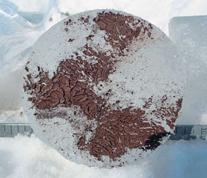 Илистые включения на нижней кромке льда, лежащего на дне реки у берега («Природа» №3, 2019)