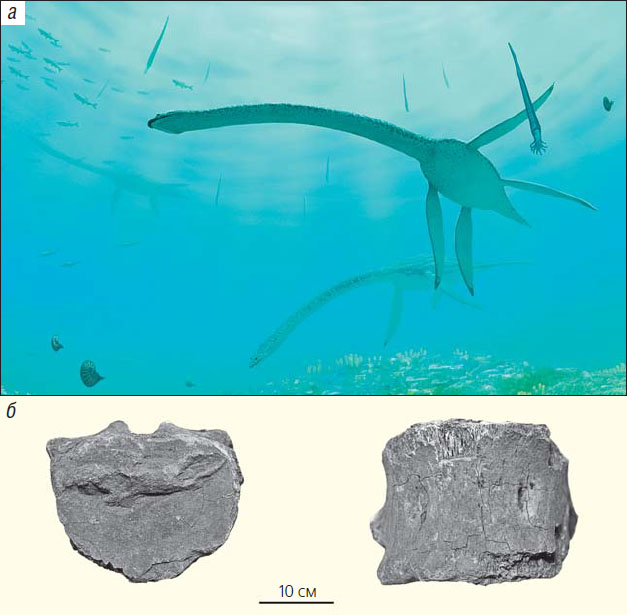 Эласмозавр («Природа» №3, 2019)