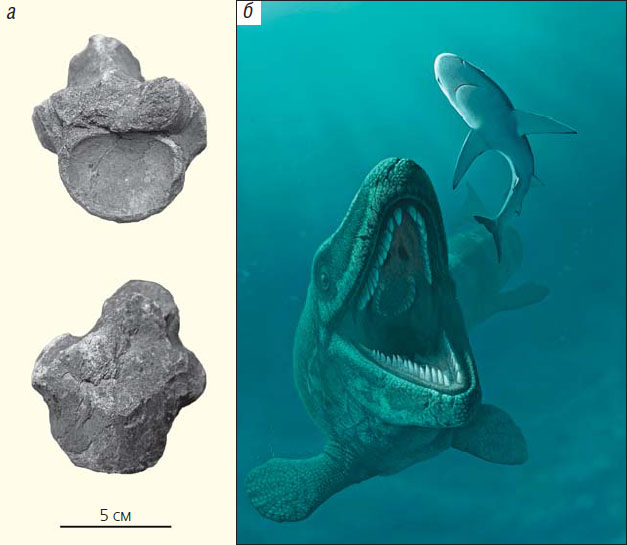 Мозазавр («Природа» №3, 2019)