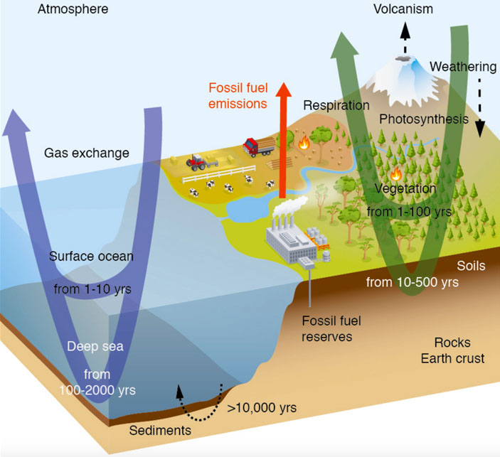 Рис. 2. Упрощенная схема глобального углеродного цикла («Троицкий вариант» №3, 2020)