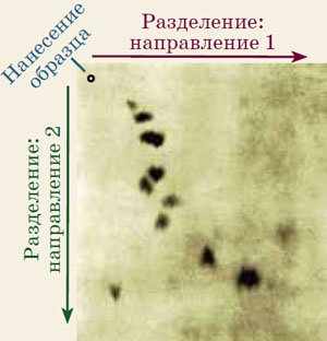 «Отпечатки пальцев» («Квантик» №9, 2019)