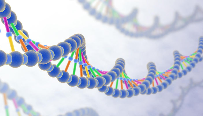 Молекула ДНК («Квантик» №9, 2019)