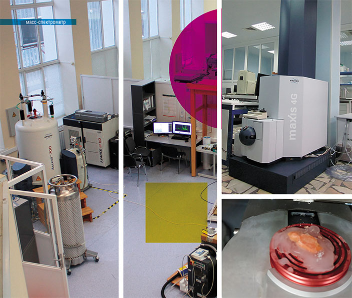 В МТЦ СО РАН разработан оригинальный метод гомогенизации эластичных тканей, основанный на применении микротом-криостата («Наука из первых рук» №5/6(85), 2019)