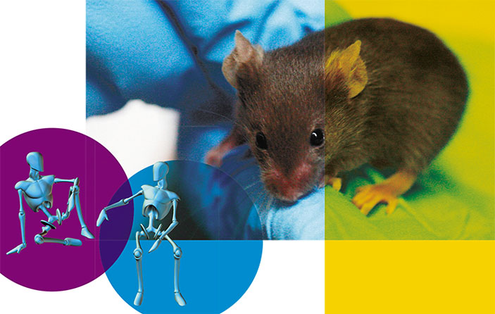 Мышь («Наука из первых рук» №5/6(85), 2019)