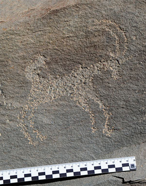 Изображение козерога. Памятник Акшоу, Занскар, 2019 г. («Наука из первых рук» №5/6(85), 2019)