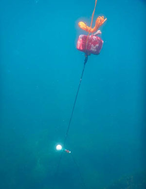 Гидрофон под водой с поплавком («Природа» №3, 2019)