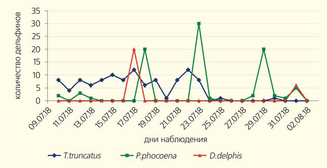 Встречаемость черноморских дельфинов в период полевых наблюдений в районе бухты Ласпи в июле 2018 г. («Природа» №3, 2019)