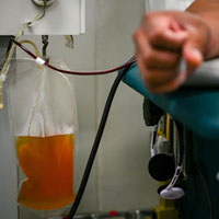 Инфекции объявлена кровная месть