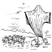 Вирус апокалипсиса