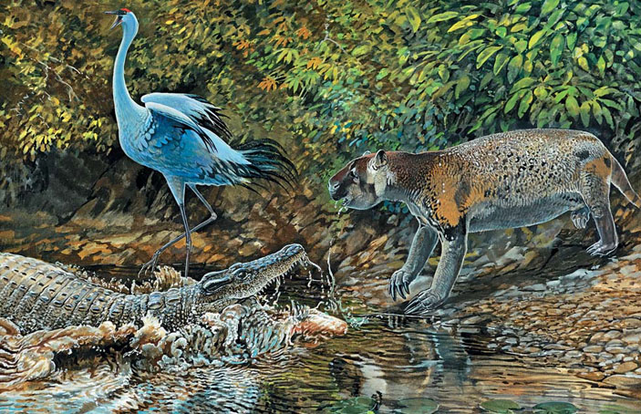 Кубинский крокодил нападает на наземного ленивца мегалокнуса. Слева — нелетающий кубинский журавль («Природа» №4, 2019)