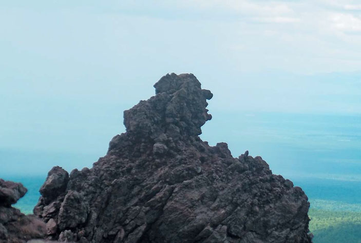 «Мыслитель» («Природа» №5, 2019)